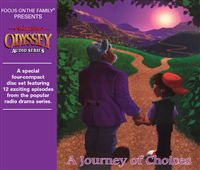 A Journey of Choices Front Cover